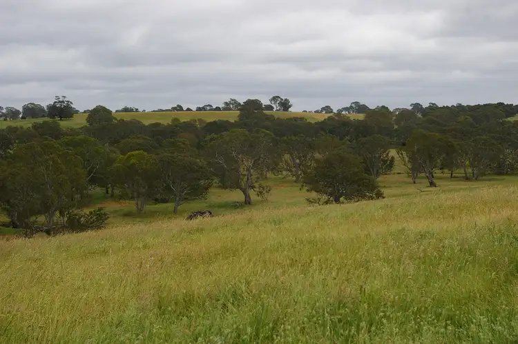 Second view of Homely rural property listing, 568 MORRIS ROAD, Wannon VIC 3301