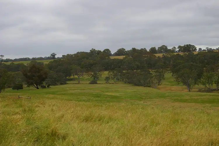 Third view of Homely rural property listing, 568 MORRIS ROAD, Wannon VIC 3301