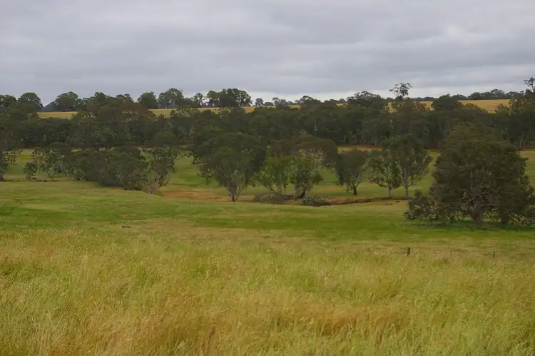 Fourth view of Homely rural property listing, 568 MORRIS ROAD, Wannon VIC 3301