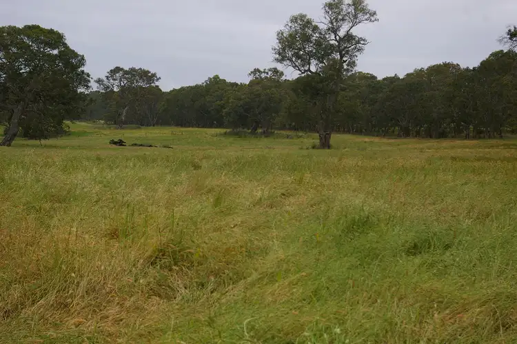 Sixth view of Homely rural property listing, 568 MORRIS ROAD, Wannon VIC 3301