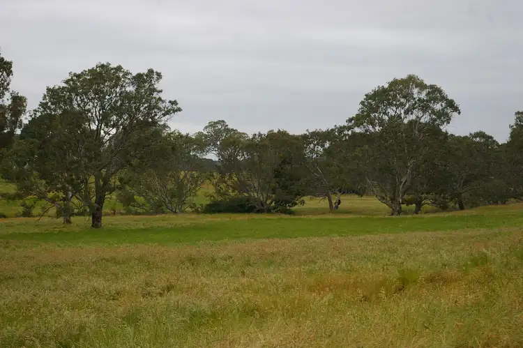 Seventh view of Homely rural property listing, 568 MORRIS ROAD, Wannon VIC 3301