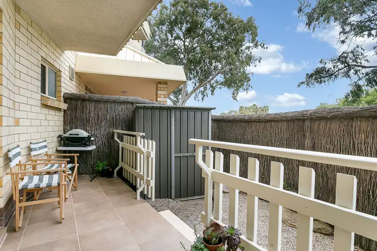 388 Henley Beach Road