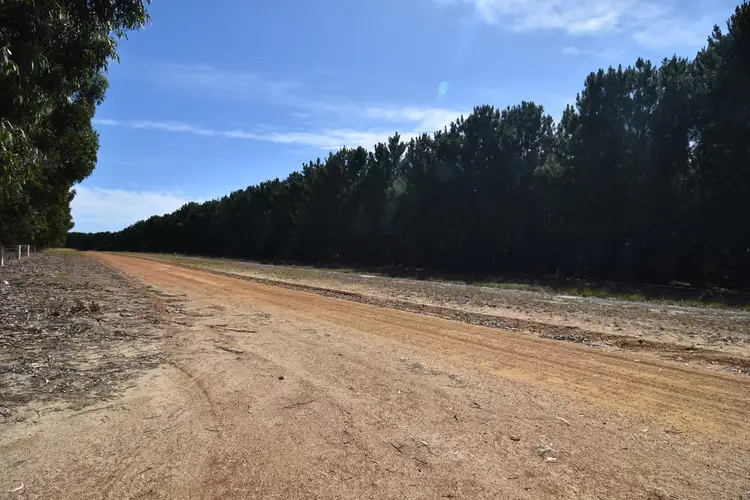 Fifth view of Homely rural property listing, Lot 31 Hicks North Road, Myrup WA 6450