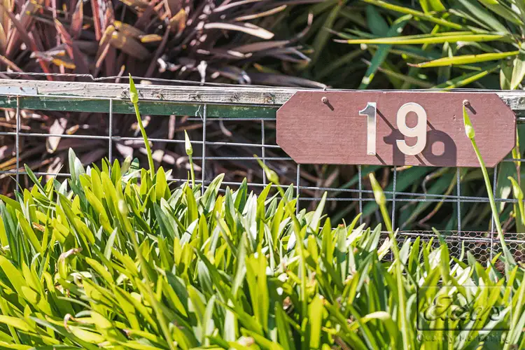 Second view of Homely house listing, 19 McDonalds Lane, Ravenswood VIC 3453