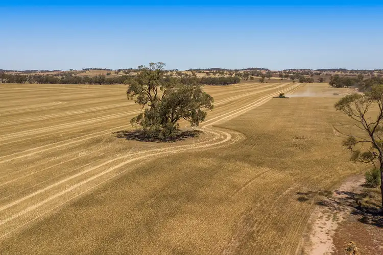 Sixth view of Homely rural property listing, 499 Balarong Road, Moora WA 6510