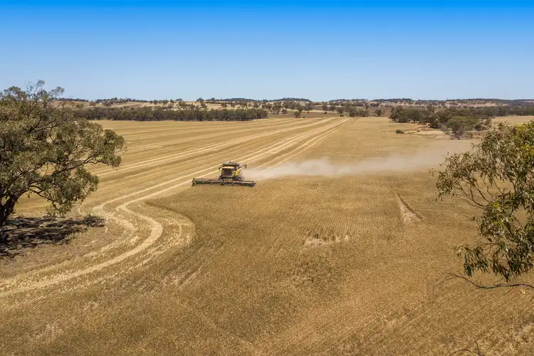 Seventh view of Homely rural property listing, 499 Balarong Road, Moora WA 6510