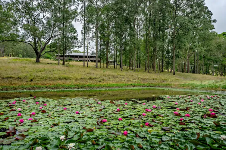 Third view of Homely rural property listing, 145 Plantation Lane, Wingham NSW 2429