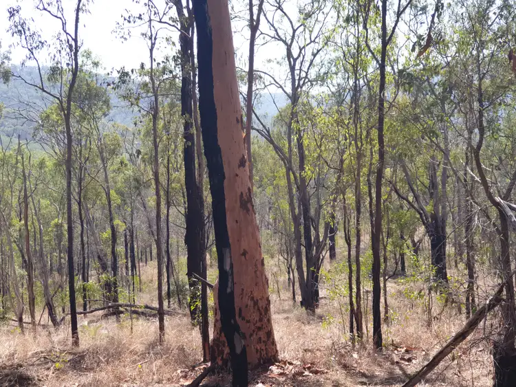 Fifth view of Homely land listing, LOT 7 Gaeta Road, Gaeta QLD 4671