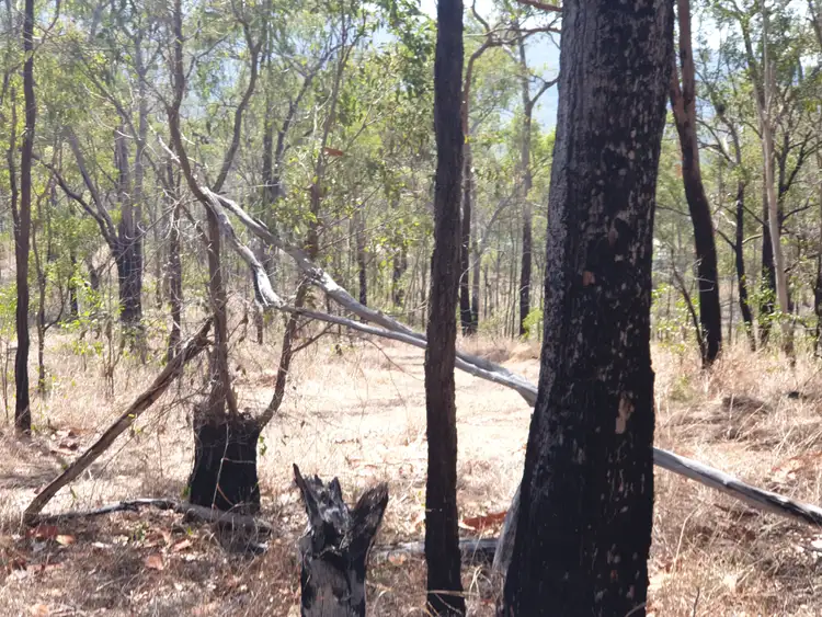 Sixth view of Homely land listing, LOT 7 Gaeta Road, Gaeta QLD 4671