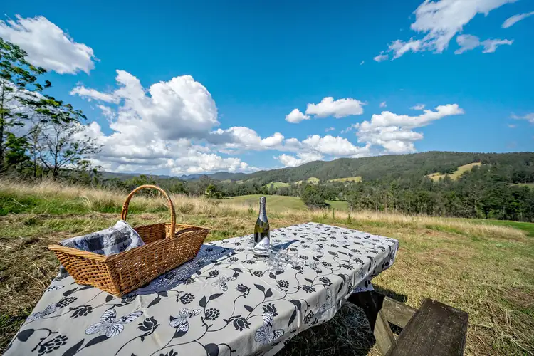 Second view of Homely rural property listing, 2911 Bulga Road, Bobin NSW 2429