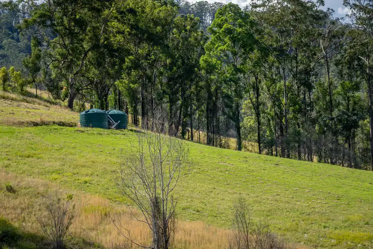 Seventh view of Homely rural property listing, 2911 Bulga Road, Bobin NSW 2429