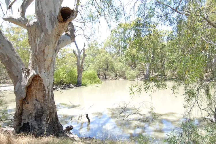 Third view of Homely rural property listing, 137 BILLABONG CREEK DRIVE (CONARGO), Deniliquin NSW 2710