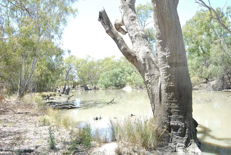 Fourth view of Homely rural property listing, 137 BILLABONG CREEK DRIVE (CONARGO), Deniliquin NSW 2710