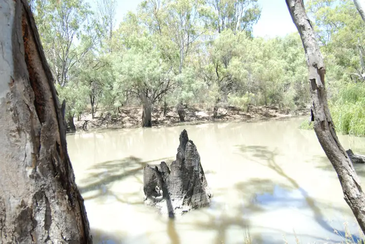 Fifth view of Homely rural property listing, 137 BILLABONG CREEK DRIVE (CONARGO), Deniliquin NSW 2710