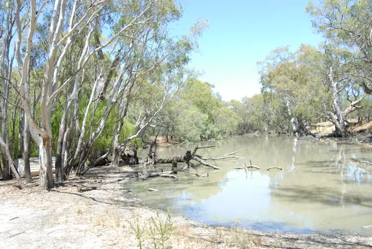 Sixth view of Homely rural property listing, 137 BILLABONG CREEK DRIVE (CONARGO), Deniliquin NSW 2710