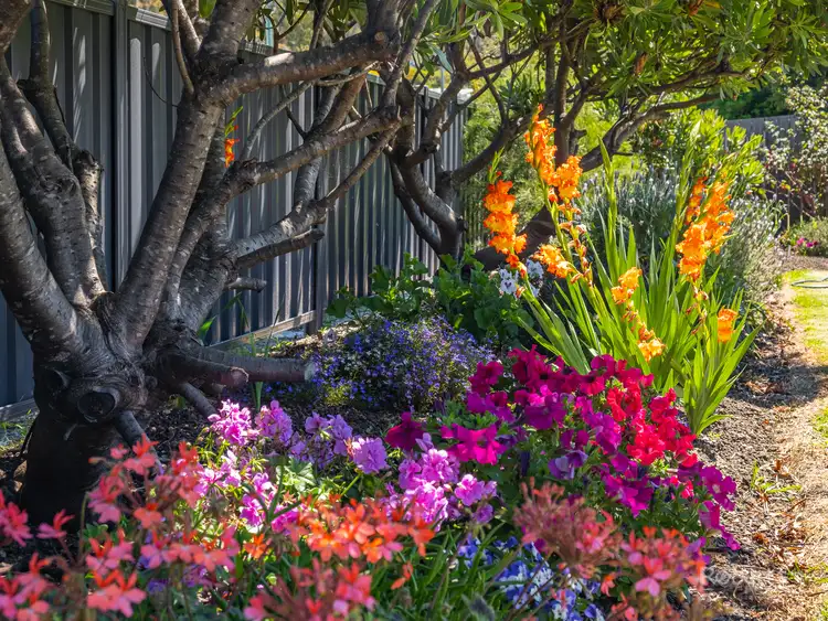 Third view of Homely house listing, 55 Foster Street, Bicheno TAS 7215
