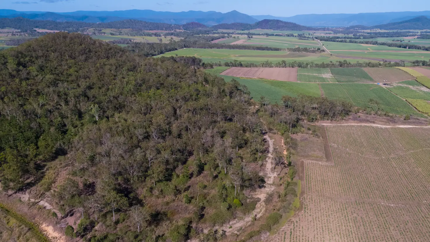 Main view of Homely land listing, Lot 202 Nicholsons Road, Benholme QLD 4754