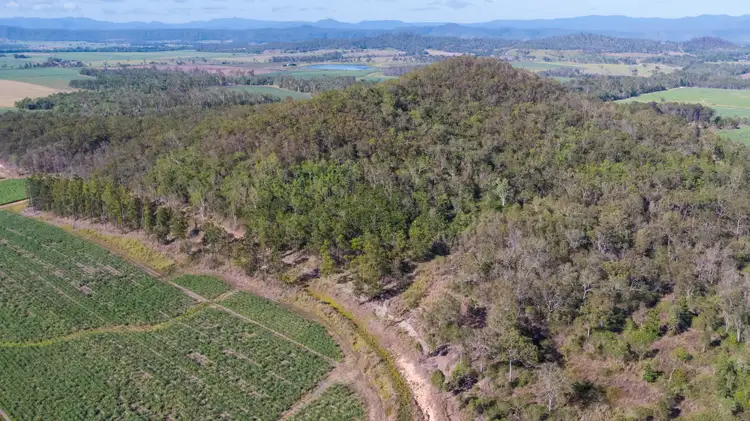 Third view of Homely land listing, Lot 202 Nicholsons Road, Benholme QLD 4754