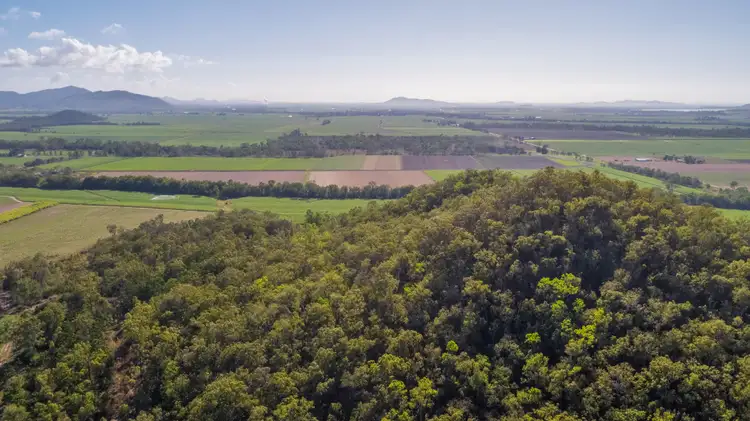 Fourth view of Homely land listing, Lot 202 Nicholsons Road, Benholme QLD 4754