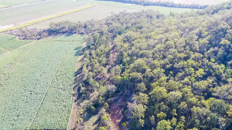 Sixth view of Homely land listing, Lot 202 Nicholsons Road, Benholme QLD 4754