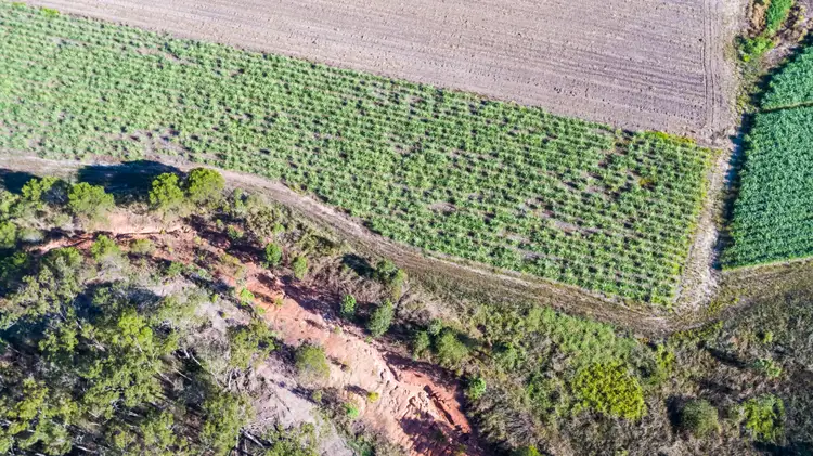 Seventh view of Homely land listing, Lot 202 Nicholsons Road, Benholme QLD 4754