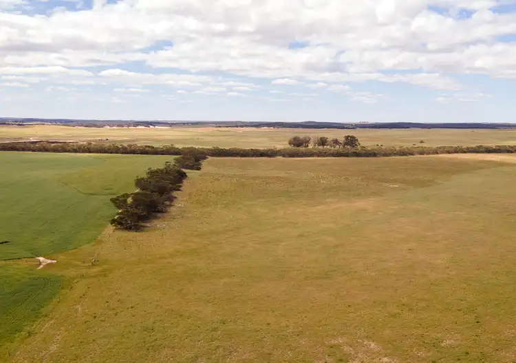 Fourth view of Homely rural property listing, 7981 MALLEE HIGHWAY, Parrakie SA 5301