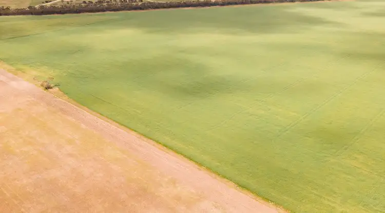 Sixth view of Homely rural property listing, 7981 MALLEE HIGHWAY, Parrakie SA 5301