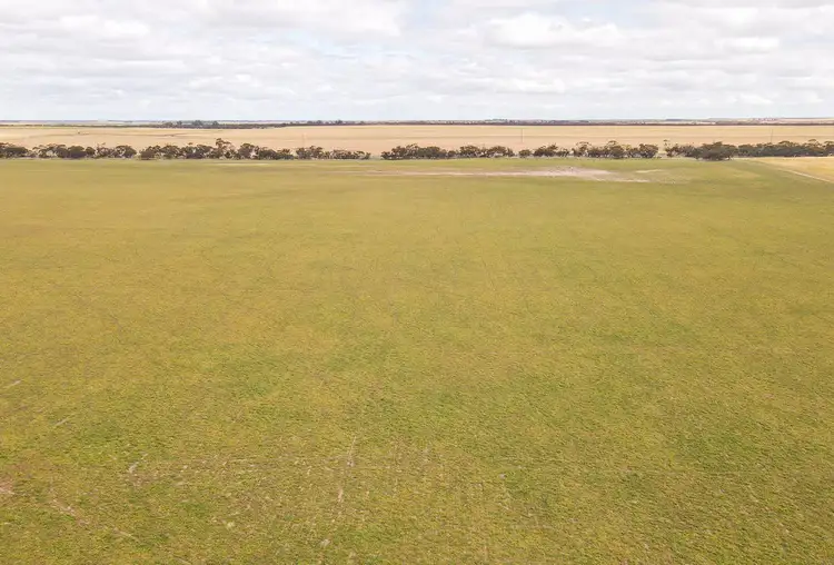Seventh view of Homely rural property listing, 7981 MALLEE HIGHWAY, Parrakie SA 5301