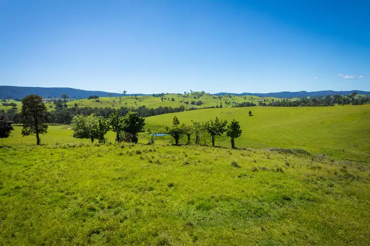 Lot 123 'Foster Paddock' Princes Hwy, Bega NSW 2550