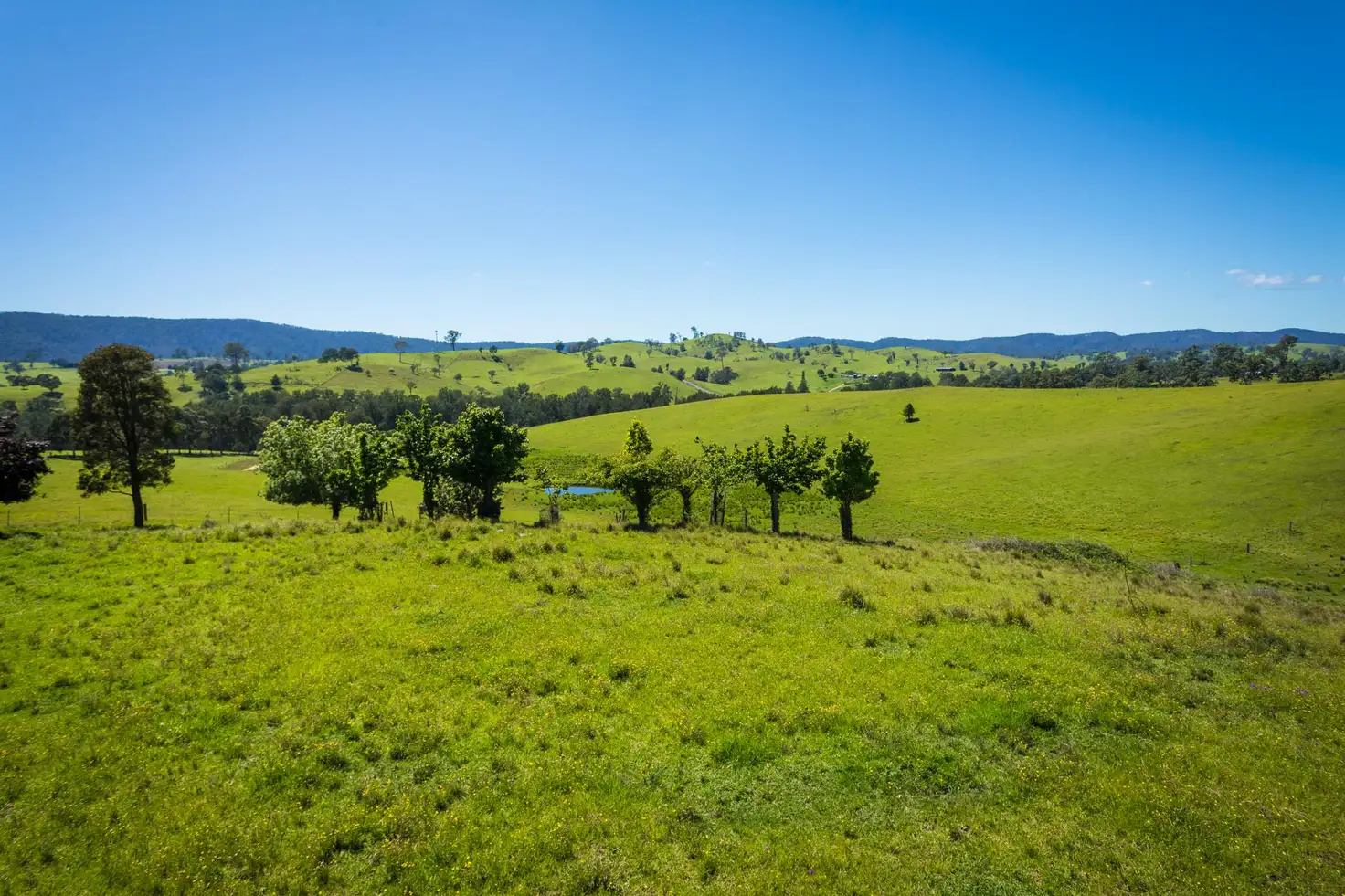 Main view of Homely land listing, Lot 123 'Foster Paddock' Princes Hwy, Bega NSW 2550
