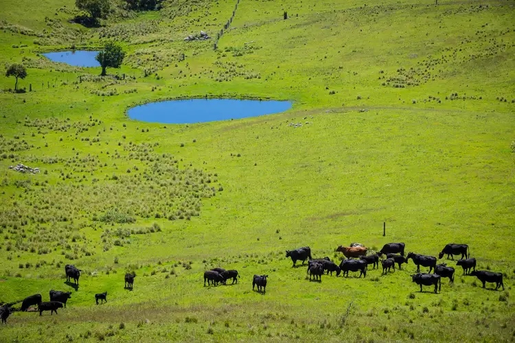 Fourth view of Homely land listing, Lot 123 'Foster Paddock' Princes Hwy, Bega NSW 2550