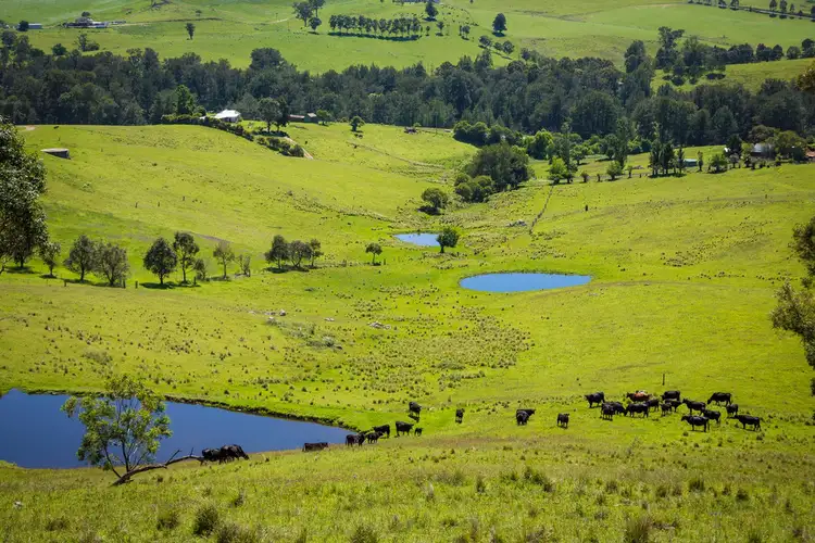 Fifth view of Homely land listing, Lot 123 'Foster Paddock' Princes Hwy, Bega NSW 2550