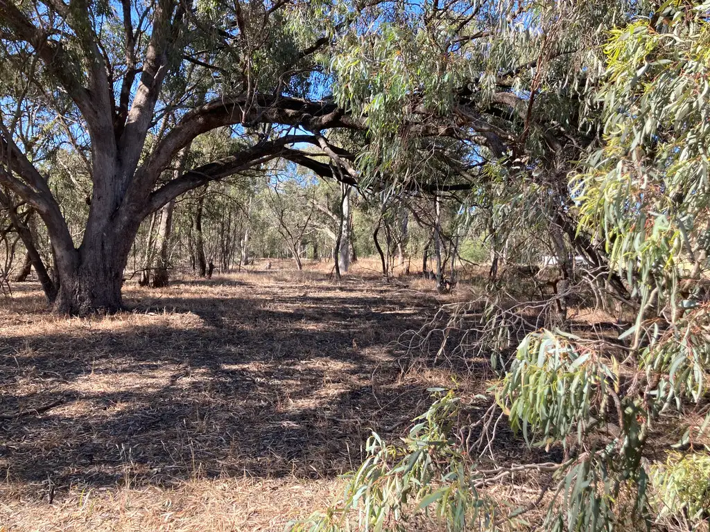 Main view of Homely land listing, 16 Pakenham Street, Echuca VIC 3564
