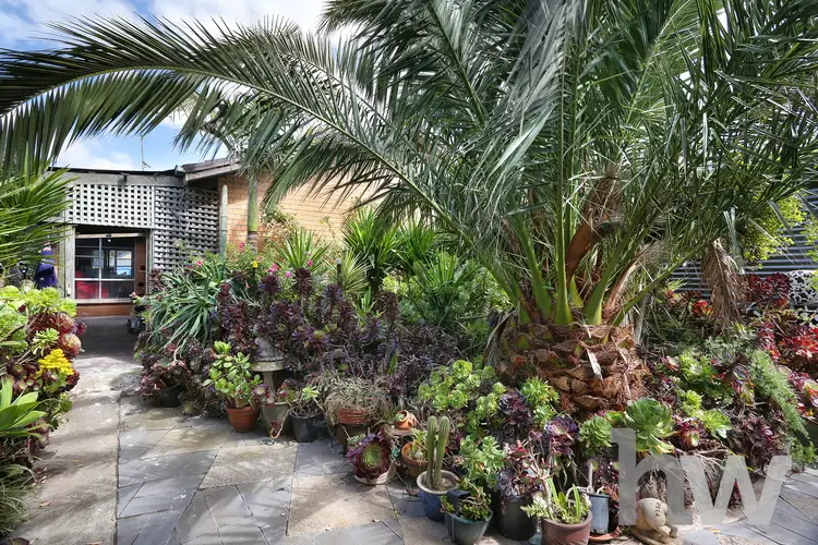 8 Gemini Court, Whittington VIC 3219