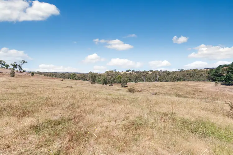 Fifth view of Homely rural property listing, 635 Seymour Pyalong Road, Hilldene VIC 3660