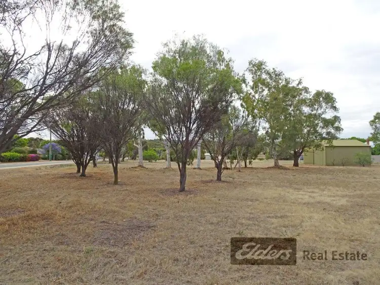 Fifth view of Homely land listing, 22 Shire Street, Pingelly WA 6308