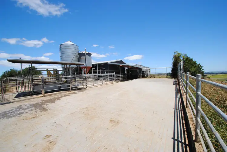 Second view of Homely rural property listing, 135 Napier Road, Mardan VIC 3953