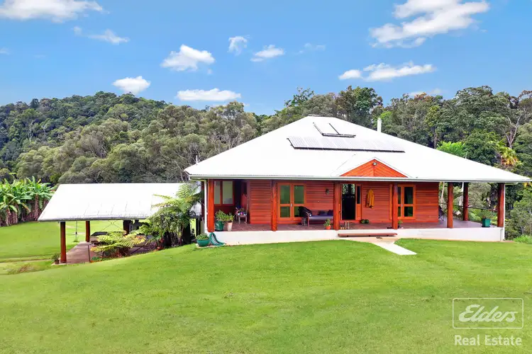 Main view of Homely rural property listing, 564 Glen Allyn Road, Malanda QLD 4885