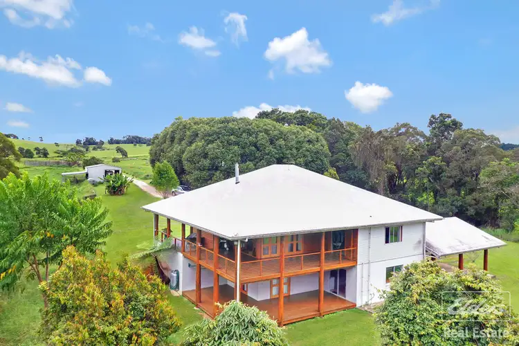 Third view of Homely rural property listing, 564 Glen Allyn Road, Malanda QLD 4885