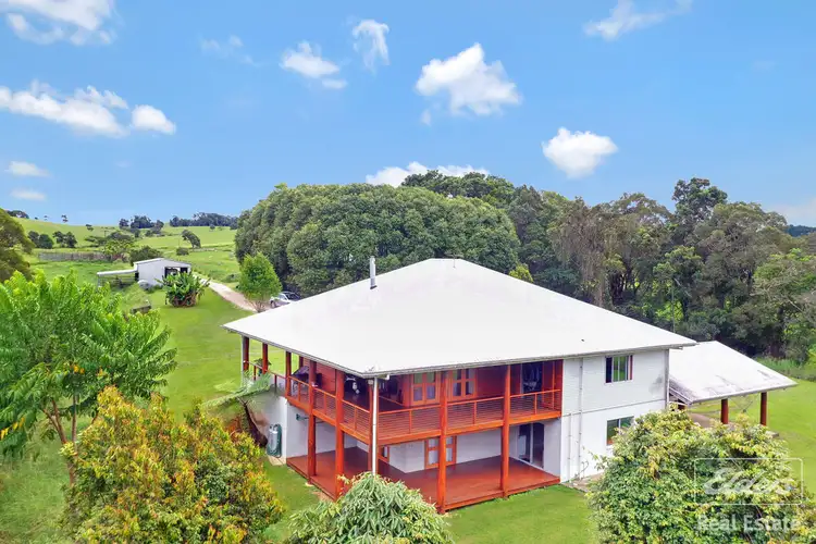 Fifth view of Homely rural property listing, 564 Glen Allyn Road, Malanda QLD 4885