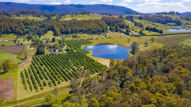 2083 Mole Creek Road, Mole Creek TAS 7304
