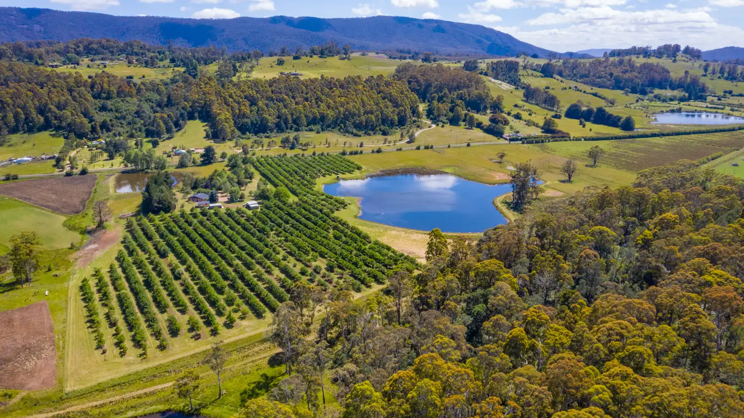 Main view of Homely rural property listing, 2083 Mole Creek Road, Mole Creek TAS 7304
