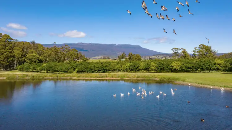 Third view of Homely rural property listing, 2083 Mole Creek Road, Mole Creek TAS 7304