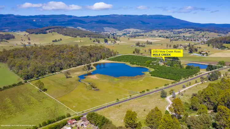 Seventh view of Homely rural property listing, 2083 Mole Creek Road, Mole Creek TAS 7304