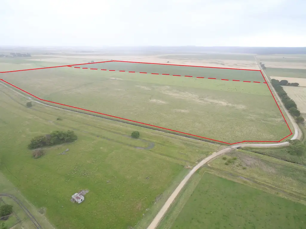 Main view of Homely rural property listing, 545 & 546 Alleyns Road, Millicent SA 5280