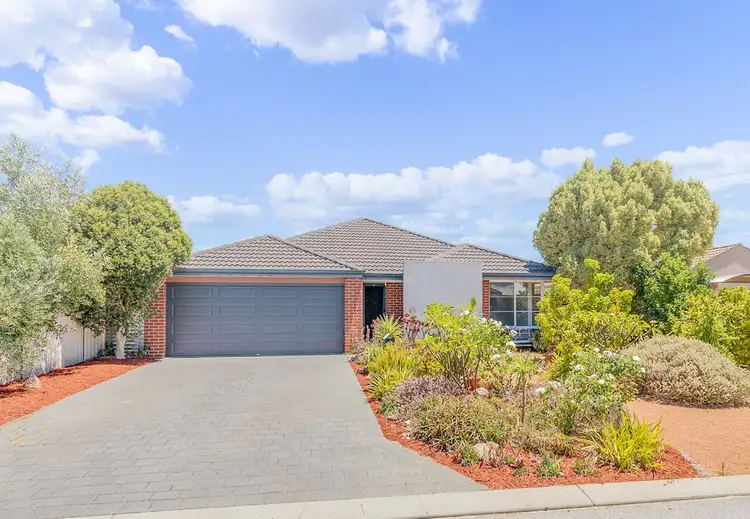 Main view of Homely house listing, 25 Sessilis Crescent, Wattle Grove WA 6107