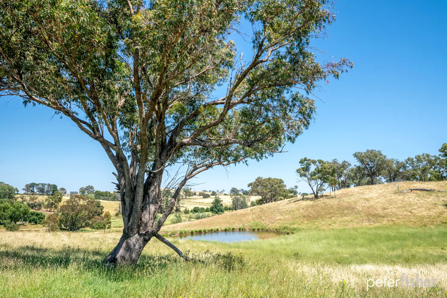 Main view of Homely rural property listing, Mountain View Boree Lane, Orange NSW 2800