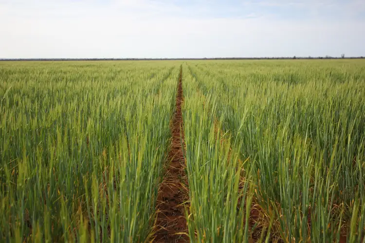 Second view of Homely rural property listing, Lots Woodward Road, Merredin WA 6415