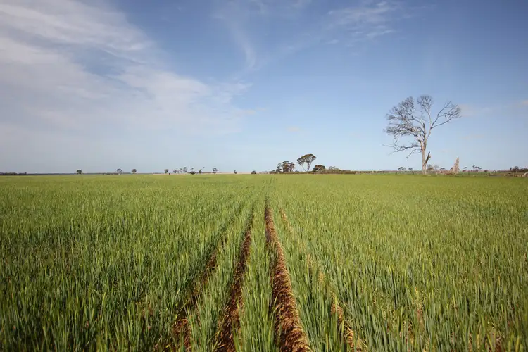 Sixth view of Homely rural property listing, Lots Woodward Road, Merredin WA 6415