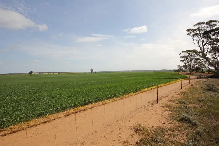 Third view of Homely rural property listing, 1383 Talgomine Reserve Road, Merredin WA 6415